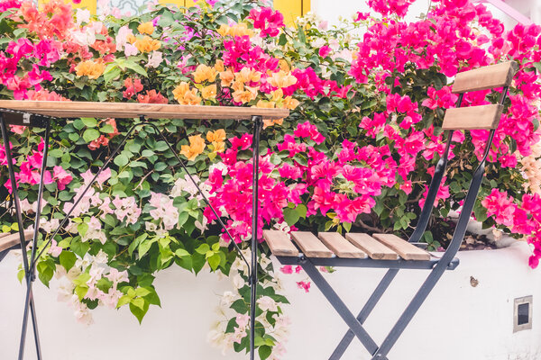 blühende pflanzen hinter gartentisch und stuhl